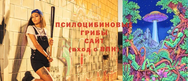 тгк Мегион