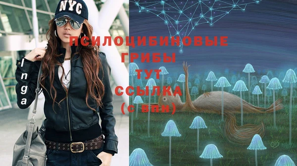 тгк Мегион