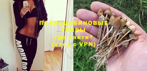 тгк Мегион