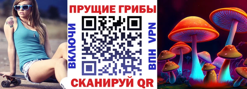 Псилоцибиновые грибы ЛСД  Купить закладки  Сясьстрой 
